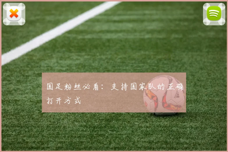 国足粉丝必看：支持国家队的正确打开方式