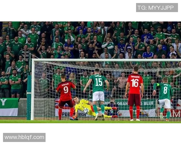 北爱尔兰与瑞士精彩对决视频回顾及赛后分析