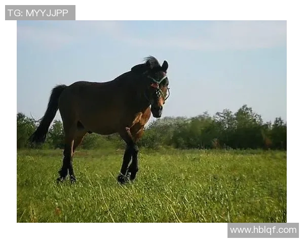 克鲁塞与戈伊亚的激烈对决揭示足球战术与团队合作的重要性